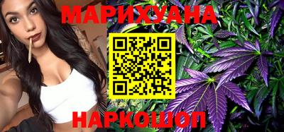 крисы Малгобек