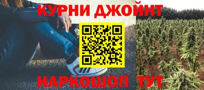 крисы Малгобек